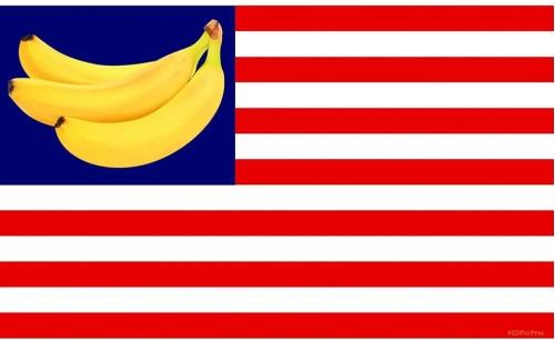 BANANA REPUBLIC FLAG