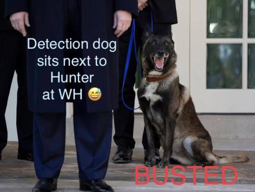 F349CDBB-6EA4-4358-8117-A54E7CD0D8A5