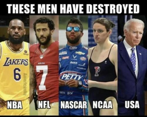 Destroyed        (maga)