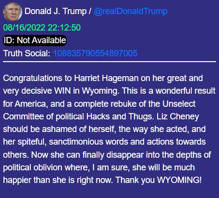 LizCheneyIsGone