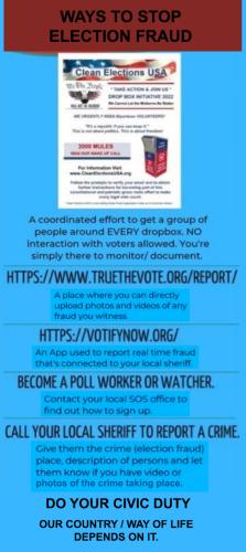 clean elections 13
