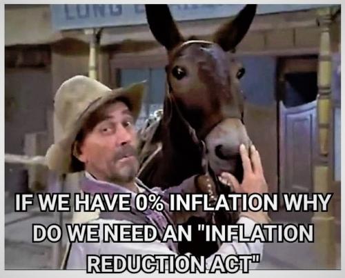 081422 - Zero inflation - Festus