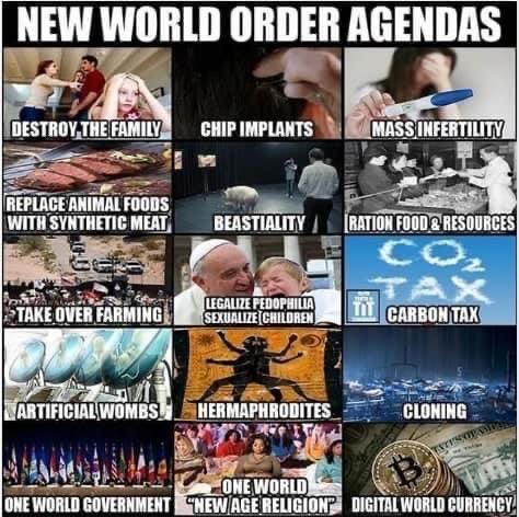 8A9CDDB2-A6AF-42C2-8987-5C84797FDA7E