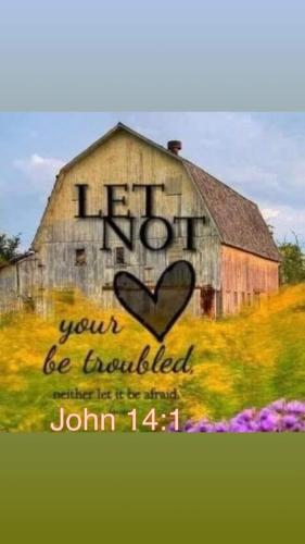 FB_IMG_1660048245821