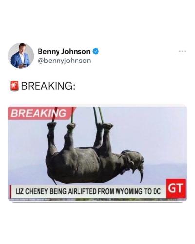 liz cheney airlifted