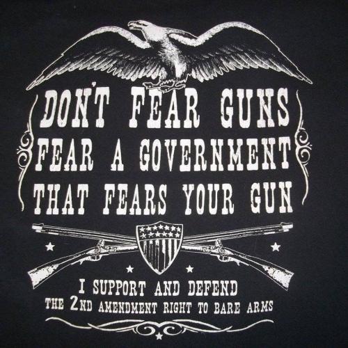 2nd Amendment - Don't fear guns