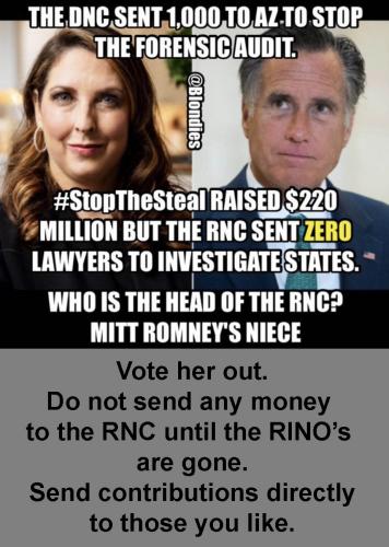 Mitt's niece RNC