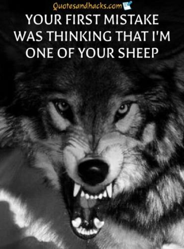 your first mistake was thinking that im on of the sheep