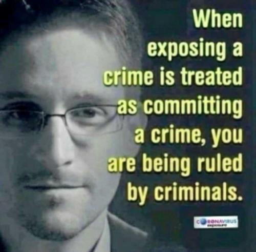 79f3001c-8e26-4d00-8763-cbb95e2648cc