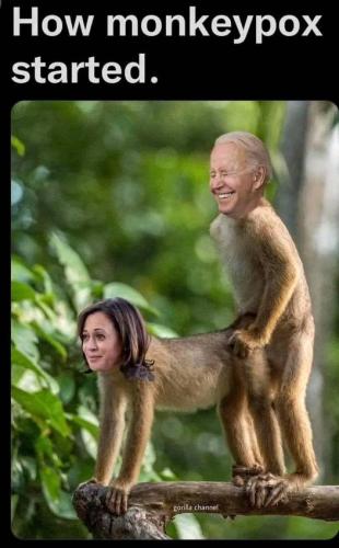 how monkeypox started