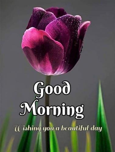 082722 - Wishing beautiful day