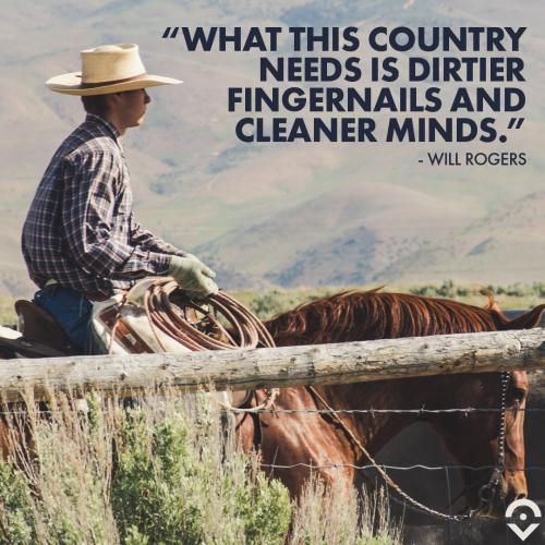 Will Rogers Quote