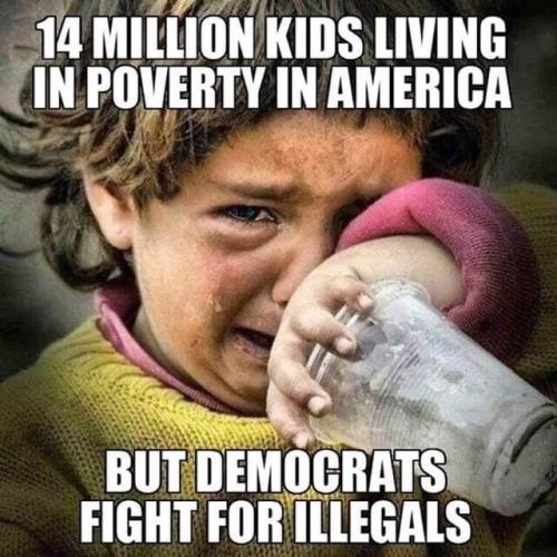 Illegals313