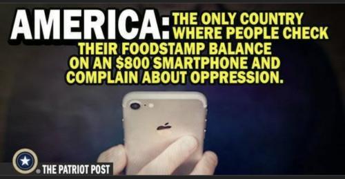 check foodstamp on 800 phone
