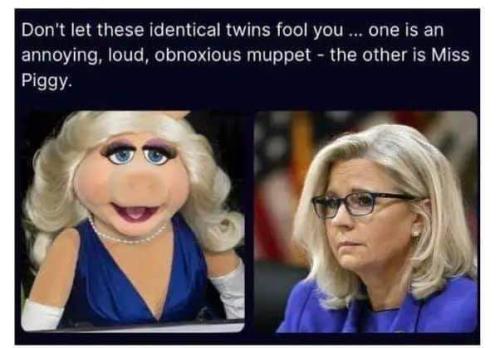 dont let these identical twins fool you