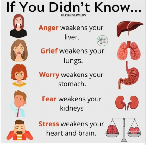 60fea1ce-8a46-4607-8421-5f464cb3a08d