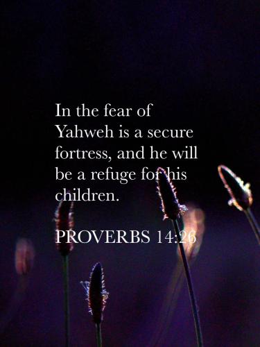 ECD69521-F849-4D06-990F-9EB1B24A8D73