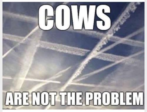 IMG_20220814_063705_853