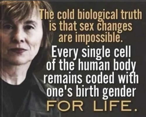 Sex coded in every cell