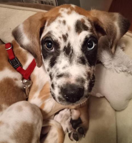 Auggie - Aug 13th - 3