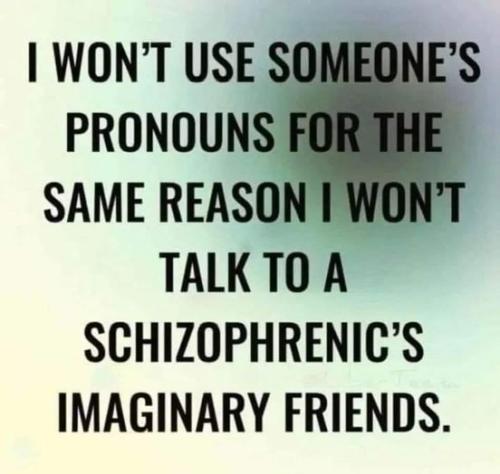 i wont use someones pronouns