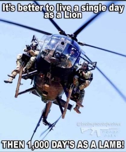 its better to live a single day as a lion