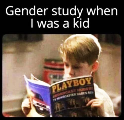 MW gender study