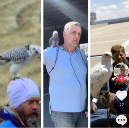 Screenshot_20220815-084532_Gallery