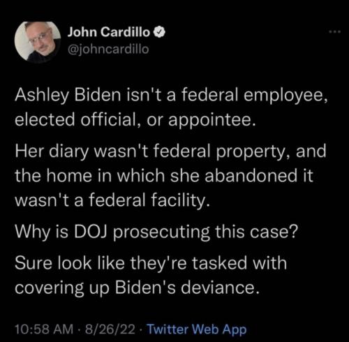 A Biden diary