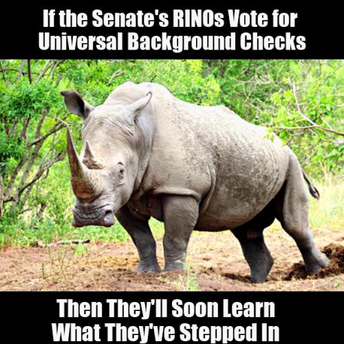 Rino's Will Step in It