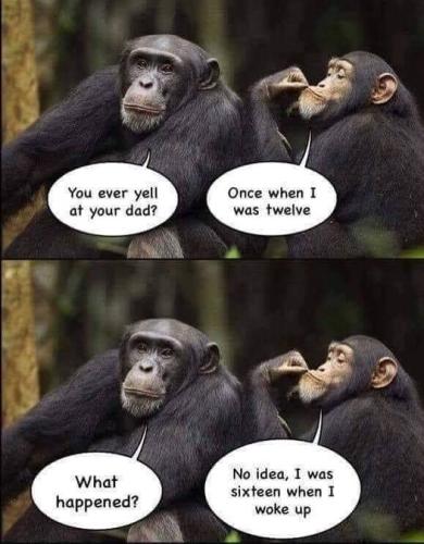 you ever yell at your dad