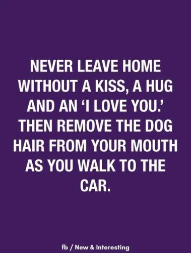 never leave homewithout hug-kiss your dog