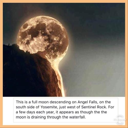 F031C127-E370-40FD-9077-747B0BEF9ACE