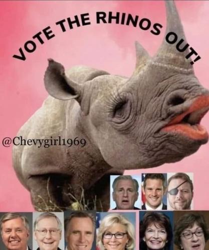 vote the rhinos out