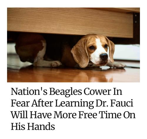 338084C5-491E-4EE5-B9CD-440B08A0D9F6