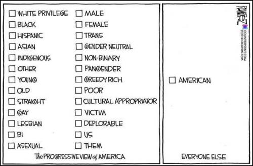 Progressive view