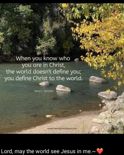 175fbc1e-915d-4de1-a6c1-d07cabffdcc2