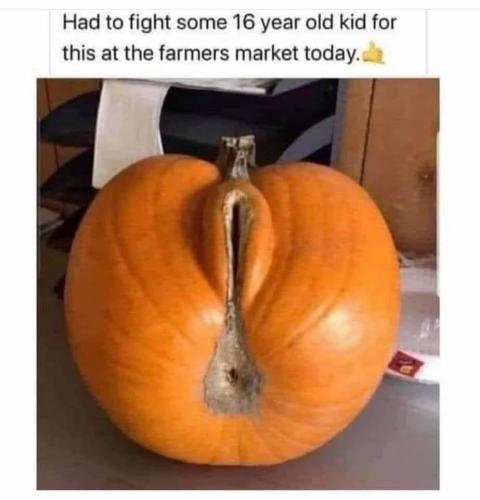 trump-tucker-mtg-gaetz-jordan