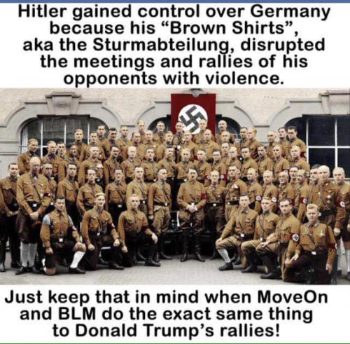 hitlers brownshirts
