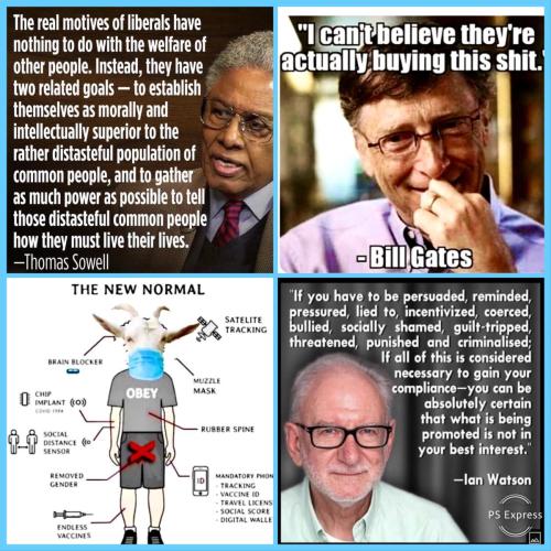 FA723154-B49A-4C36-91DF-0E2A7CE4810E