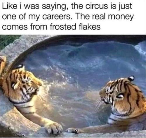 frostedflakes