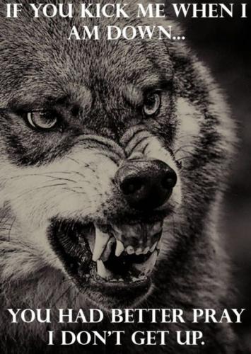 if you kick me when i am down