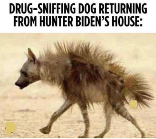 c7a46cf8-137d-44a6-be7b-23896c2651e4