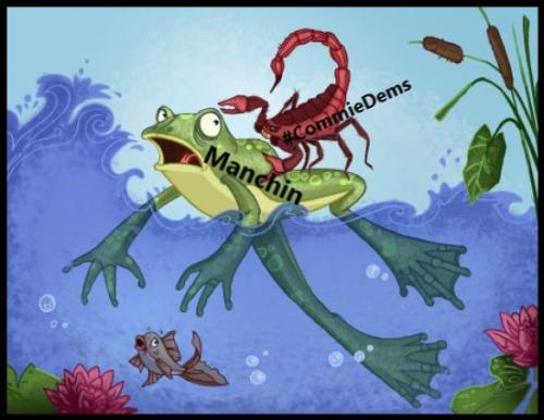 Frog and Scorpion Manchin and CommieDems