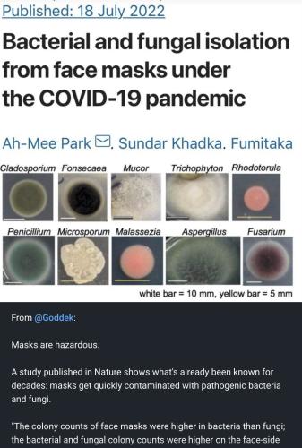 bacteria in masks