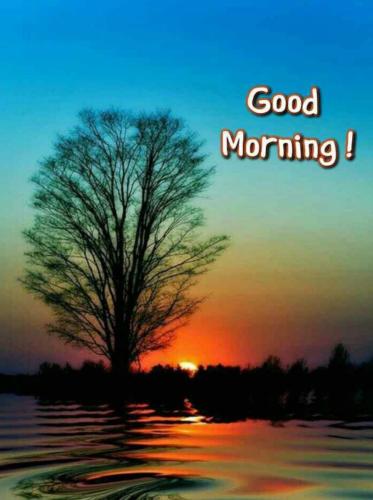 84adb304-4fb9-4633-98a2-a57d72a43d15