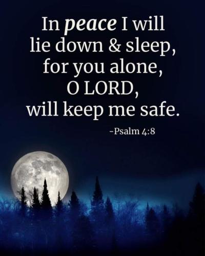 FB_IMG_1659184451097