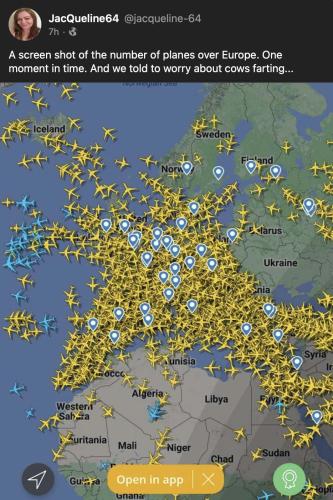planes vs cows
