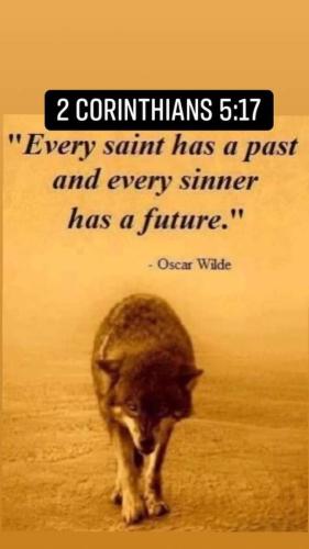 cd711629-e354-41fc-a8cd-a173af85f34f