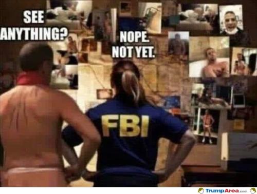 see-anything